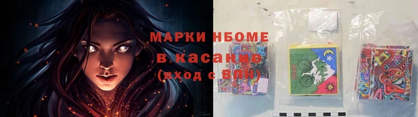 прущие грибы Лабытнанги