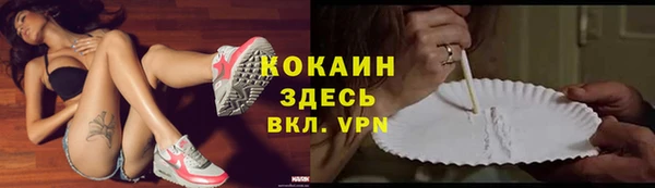 тгк Магас