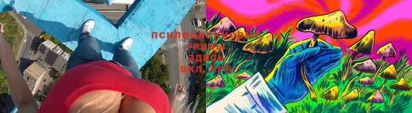 тгк Магас